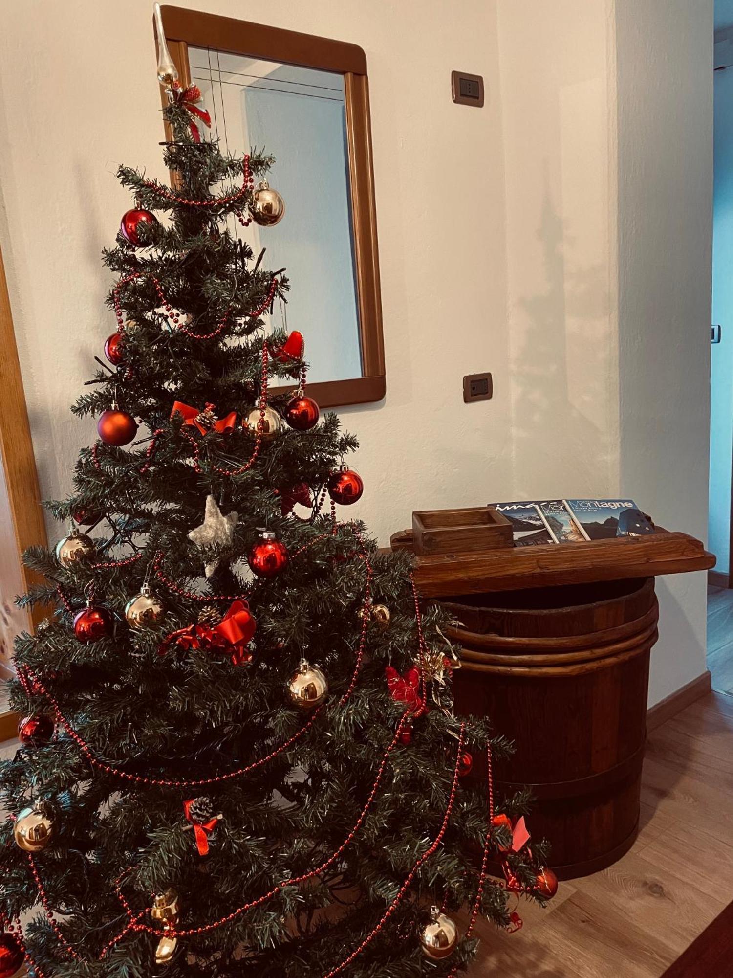 산 피에트로 디 카도레 Casa Vacanze Cesco Resia 아파트 외부 사진